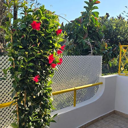 Apartamento Victoria Виламура Экстерьер фото