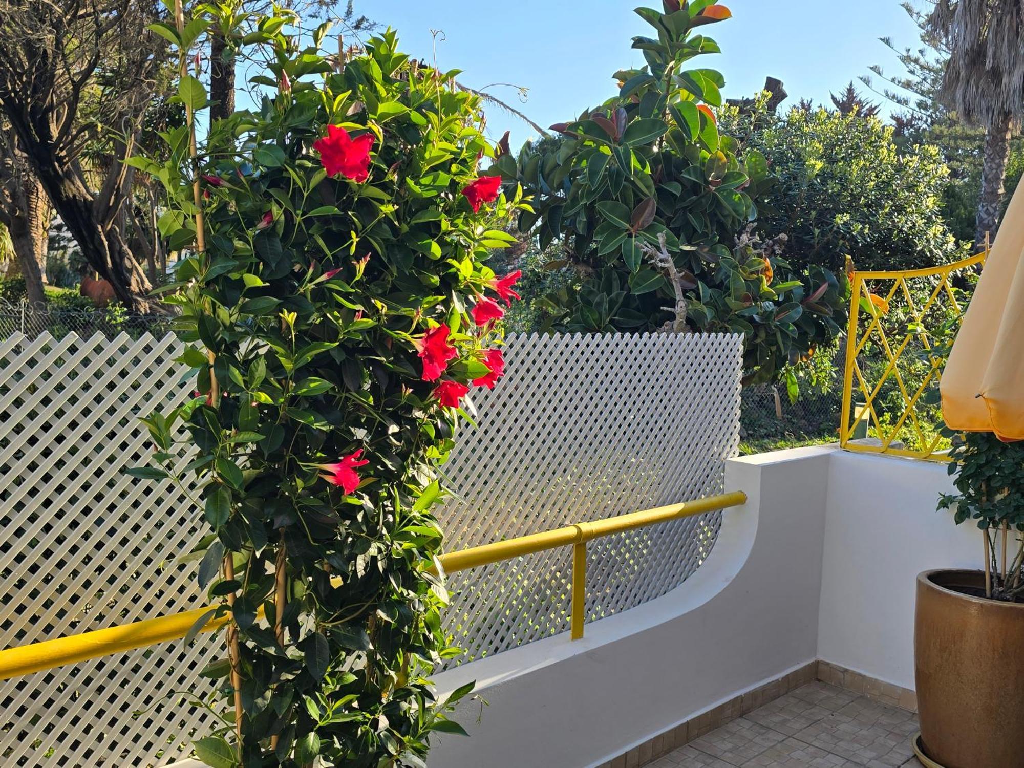 Apartamento Victoria Виламура Экстерьер фото